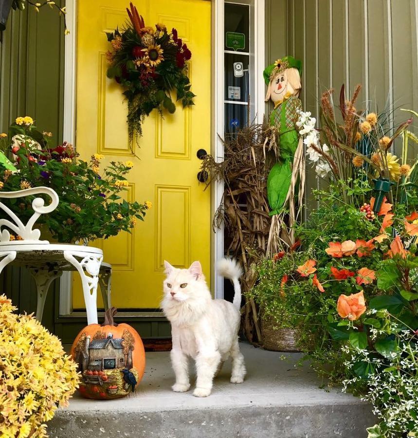 Yellow Door Bed And Breakfast Fort Erie Ngoại thất bức ảnh