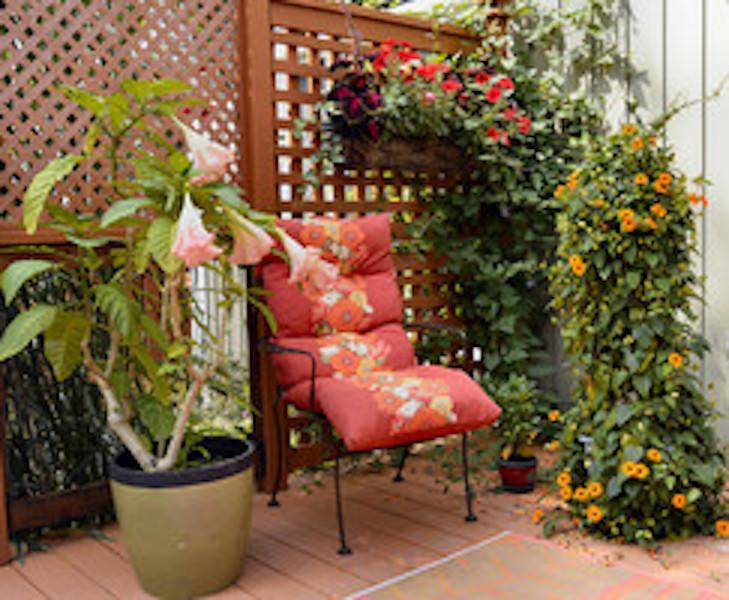 Yellow Door Bed And Breakfast Fort Erie Ngoại thất bức ảnh